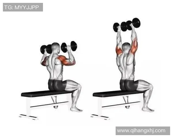 腰背肌健身器材训练动作推荐与坐姿修正技巧